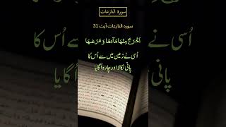 Download lagu Surah An Naziat Ayat 27 to 39 | #shorts #ytislamic #qurantranslation #tilawat #tilawattarjuma mp3 Download lagu Surah An Naziat Ayat 27 to 39 | #shorts #ytislamic #qurantranslation #tilawat #tilawattarjuma mp3