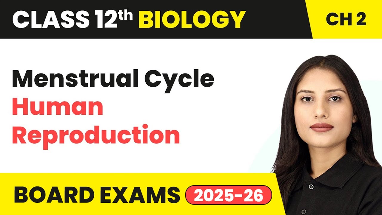Menstrual Cycle - Human Reproduction | Class 12 Biology Chapter 2 | CBSE 2024-25