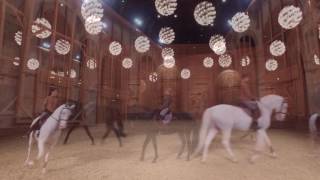 l'Académie équestre de Versailles