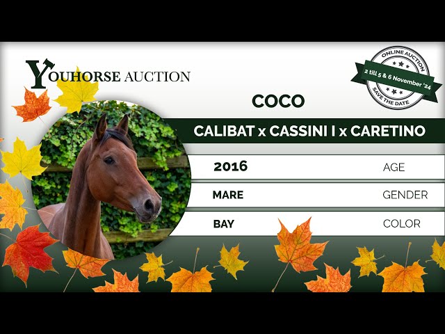 Coco