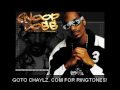 Snoop Dogg - Brake Fluid Biiitch Pump Yo Brakes feat KoKane - http://www.Chaylz.com