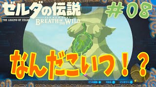 【BtoW】この世の原理を知らない　寄り道がメインのゼルダの実況　08