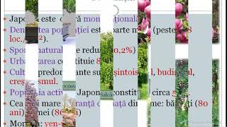 Japonia. Versiunea 2