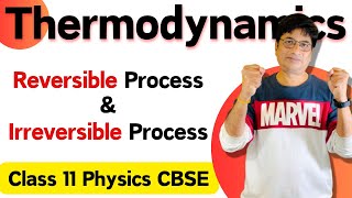 Reversible Process and Irreversible Process Class 11 Physics Thermodynamics || Class 11 Physics CBSE