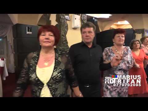 Alex de la Severin - 02, Ziua Pensionarilor 2015, la Dunarea Albastra (colaj hore) 1080p (cover)