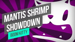 Boom Kitty - Mantis Shrimp Showdown