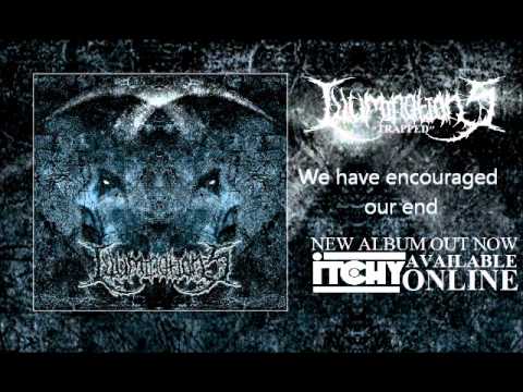 Illuminations (Trapped)