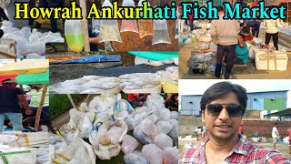 Howrah Ankurhati Fish Haat | Ankurhati Aquarium Fish Market | Wholesale Aquarium Fish Market 