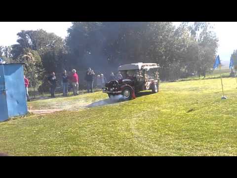 16  Mops Rennen in Hachelbich 4