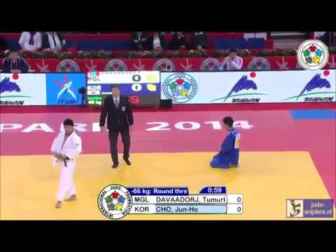 Judo 2014 Grand Slam Paris: Davaadorj (MGL) - Cho (KOR) [-66kg]