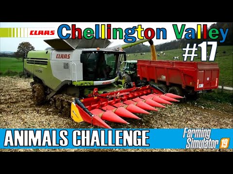 Harvesting Corn | ANIMALS CHALLENGE #17 | CHELLINGTON VALLEY | FS19 | PS4