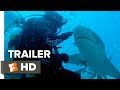 Sharkwater Extinction Trailer #1 (2018) | Movieclips Indie