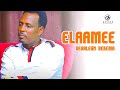 Desalegn Bekema Elaamee Official Lyrics Video