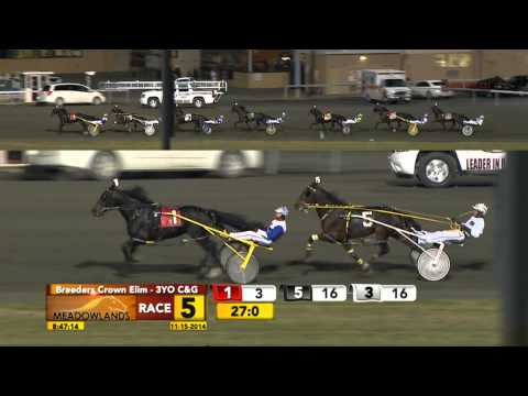 Breeders Crown Elimination - Always B Miki - November 15, 2014