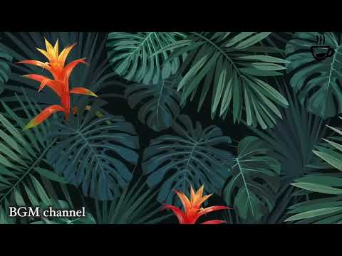 Relaxing Hawaiian Background Music - Tropical Mood Instrumentals
