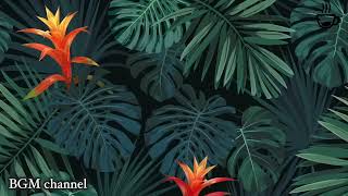 Download lagu Relaxing Hawaiian Background Music - Tropical Mood Instrumentals mp3 Download lagu Relaxing Hawaiian Background Music - Tropical Mood Instrumentals mp3