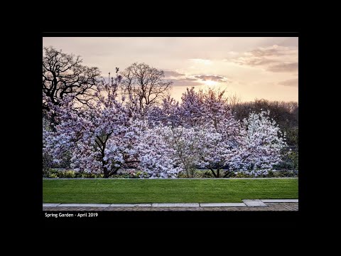 Photographer Jason Ingram's Desert Island Gardens