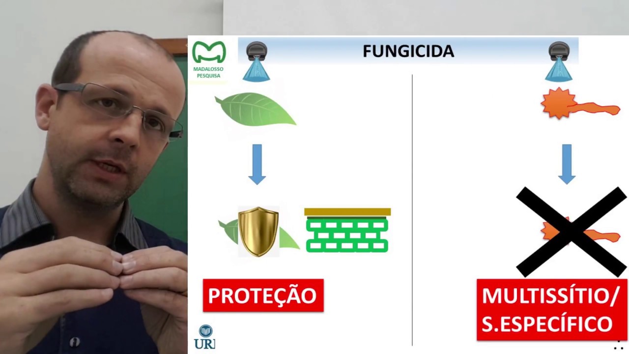multissítio X protetor X indutor de defesa