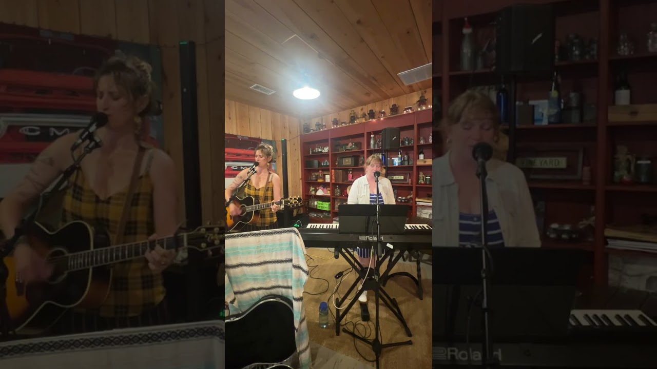 Promotional video thumbnail 4 for Ariana Hodes & The Longest Year