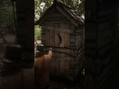 LASS *NIEMALS* DIESES MÄDCHEN FREI in RDR2! #shorts