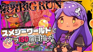 【スプラ3】ビッグランで161個納品＠スメーシーワールド！12時間の耐久激闘アーカイブ【作業用/寝落ち用】