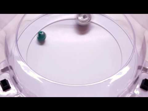 Wild Wyvern V.O. vs  Obelisk Odin T.X.