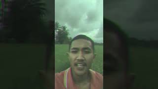 Download lagu STORY WA - Kodrat Wong Lanang mp3