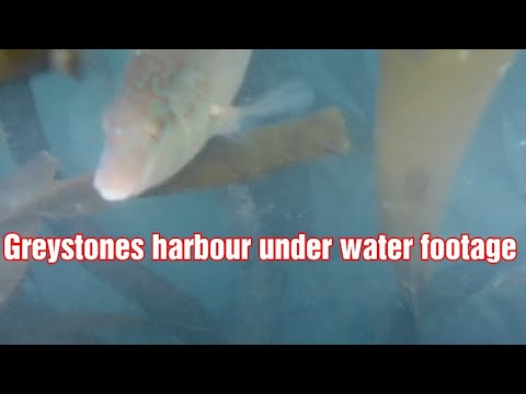 Underwater drone footage greystones Harbour