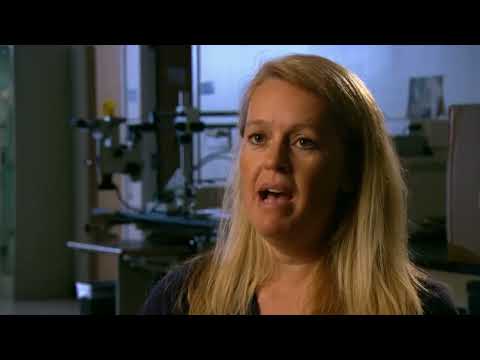 Mayday - Alarm im Cockpit - Fatales Gewicht (8/10)