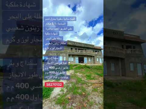 سانية للبيع بمنزل تميم – 3.1 هكتار مطلّة على البحر