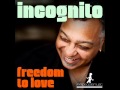 Freedom To Love (Roze Remix) - Incognito