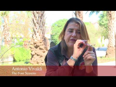 Nadja Solerno-Sonnenberg plays with San Antonio Symphony - 2018