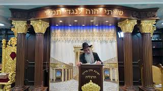הרב מאיר דוד שמואלי - האוצר היומי סדר עח'