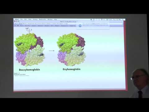 Kevin Ahern's BB 450/550 Classroom Lecture #2 for June 23 - Protein Characterization/Hemoglobin