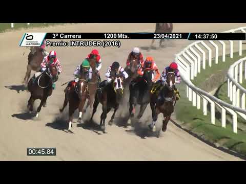 210423 c03 - DUST COLT - HIPODROMO LAS PIEDRAS