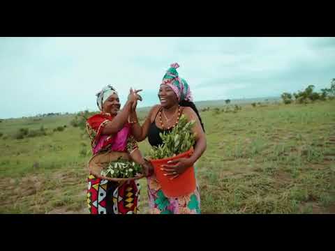 3 Finer   Mente Confusa ft Gerilson Insrael Official Video