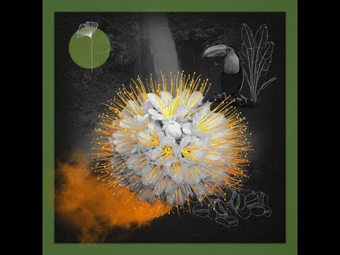 Dean Mickoski Feat. Idd Aziz - Dzizu