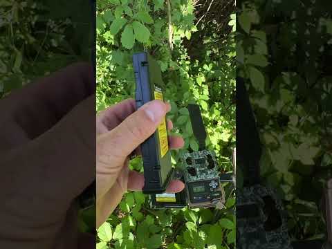 Review: Browning Trail Cam