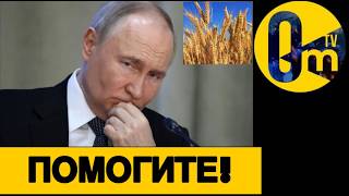 ОБВАЛ ЭКСПОРТА РОССИЙСКОГО ЗЕРНА!