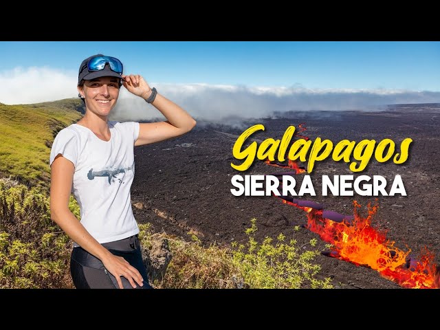 Volcan Sierra Negra e volcan Chico, Isabela