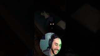 ESSE GATO É BIZARRO