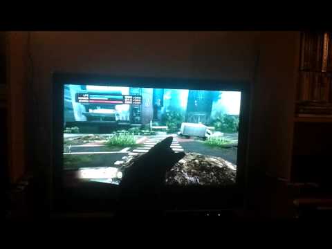 MY CAT REACTS: TOKYO JUNGLE