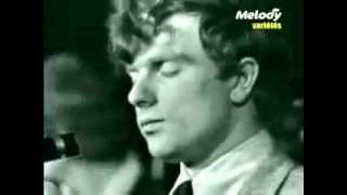 Them - Gloria (Live in France)