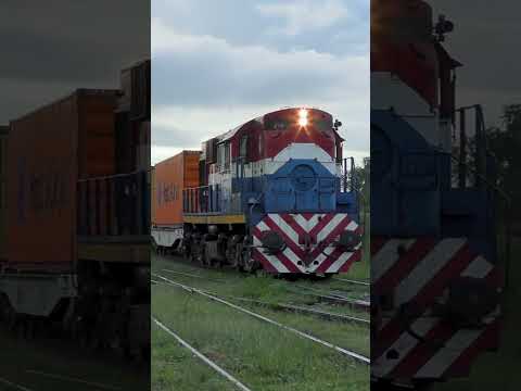 NCA 8258 POR TORTUGAS, SANTA FE