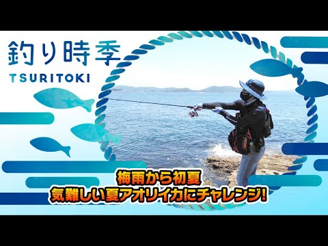梅雨から初夏～気難しい夏アオリイカにチャレンジ！（釣り時季/2021年7月11日放送）