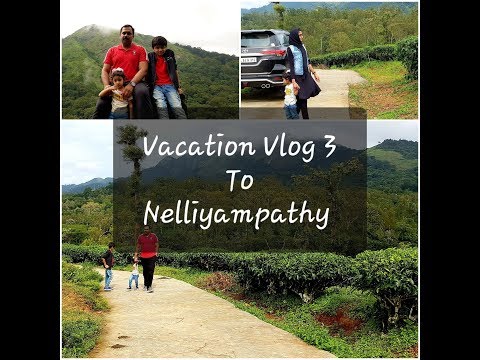 NelliyampathyKerala Tourist Spot || Nelliyampathy || Hill Station || WeekendDrive || Vacation Vlog 2