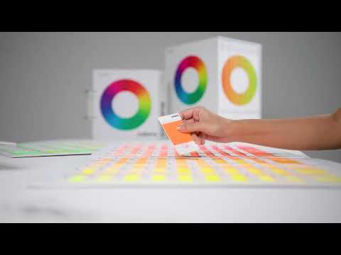 Introducing Coloro's Neons and Brights Collection