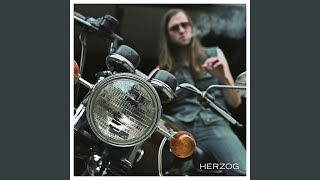 Herzog Akkoorden