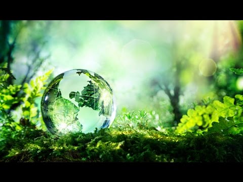 Please Pray with me- A Prayer for the World