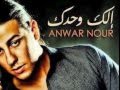 Anwar Nour 